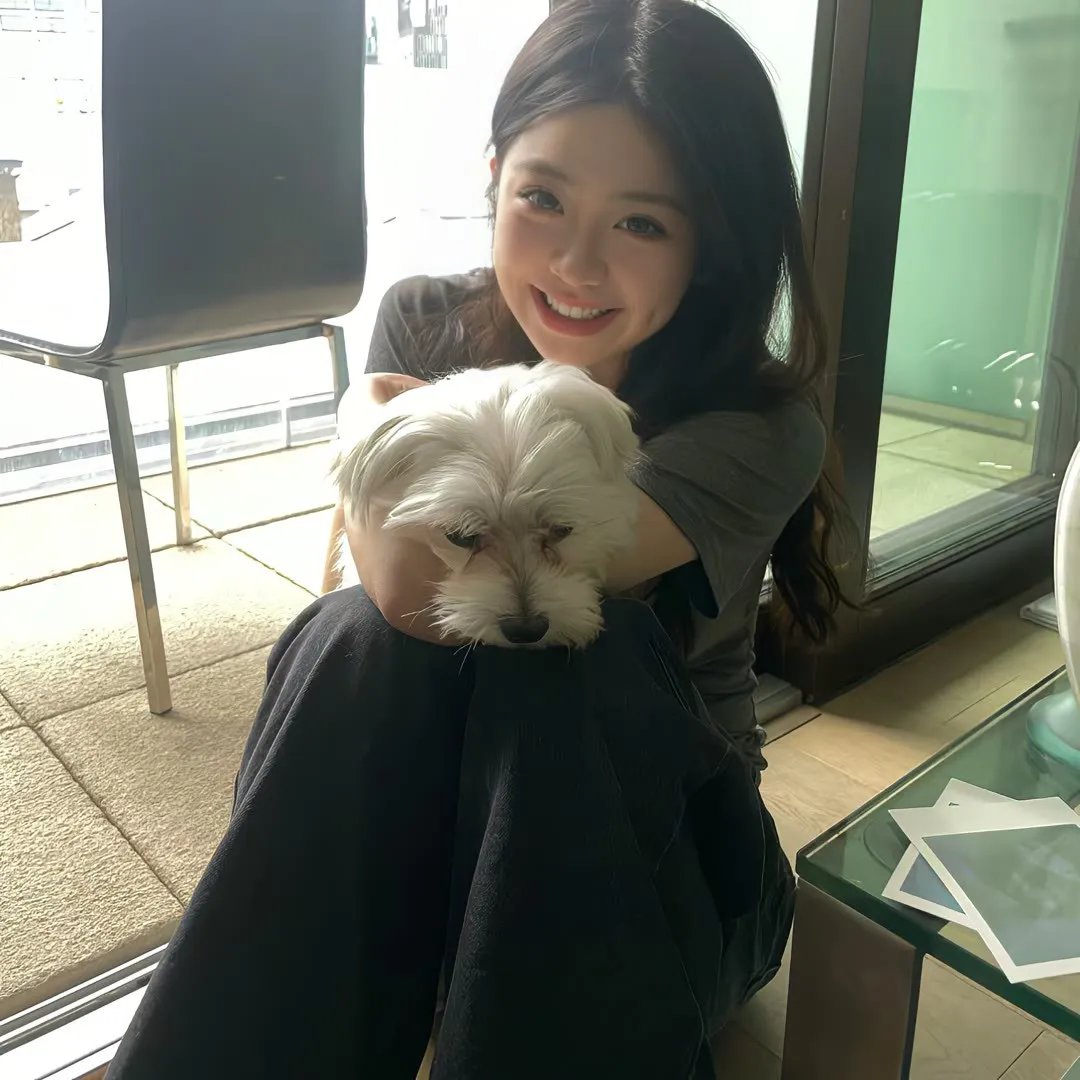 盲人律师封面